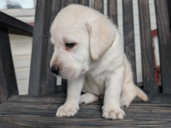 PXL_20250727_211446178