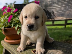 PXL_20250727_212736986