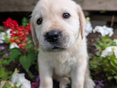 PXL_20250727_213856551.MP