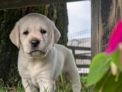 PXL_20250727_215922755