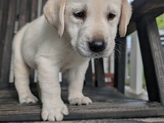 PXL_20250727_222434777